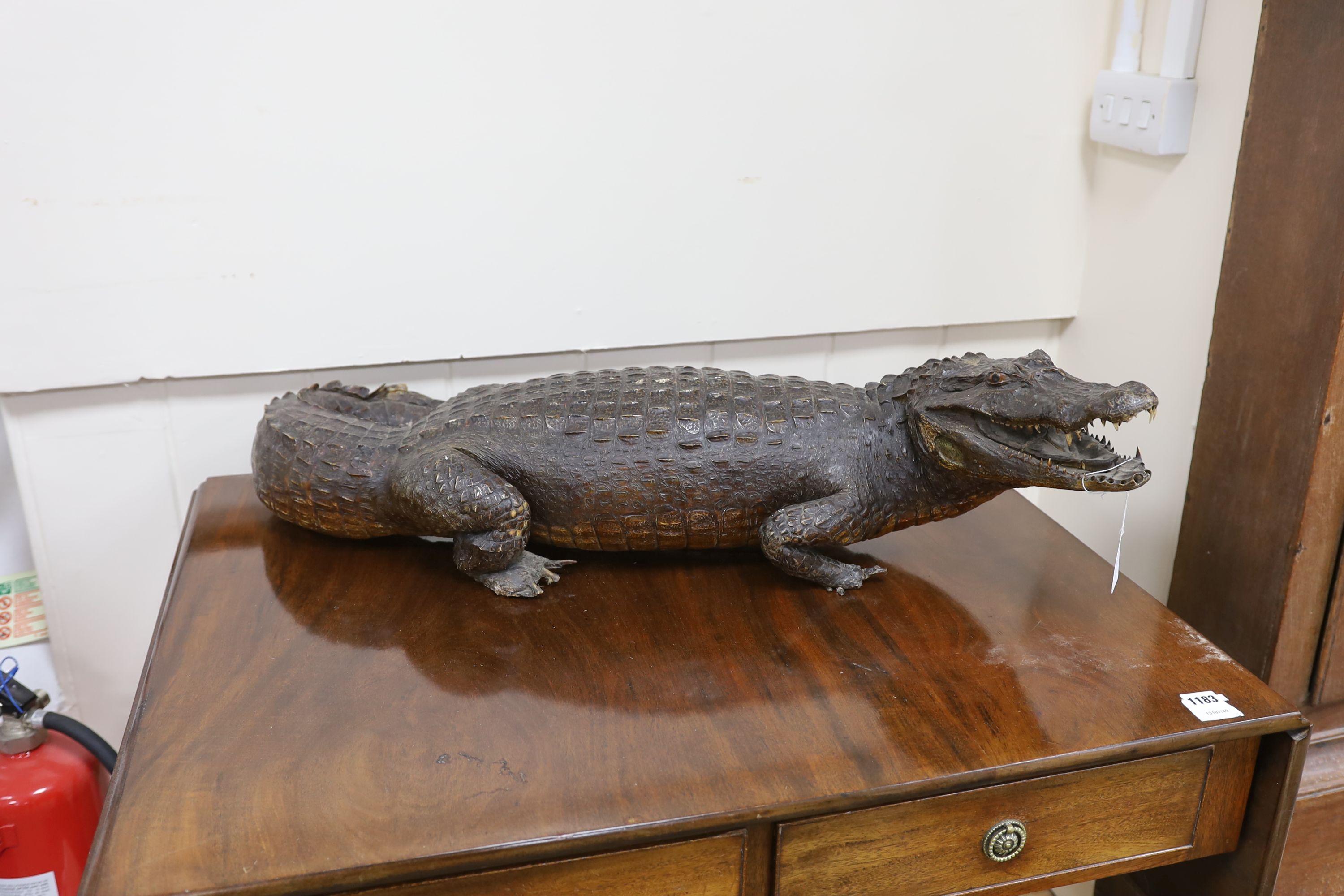 A taxidermy late 19th century Nile crocodile, approximately 92cm long